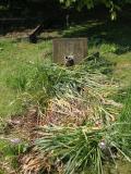 image number IMG_3301